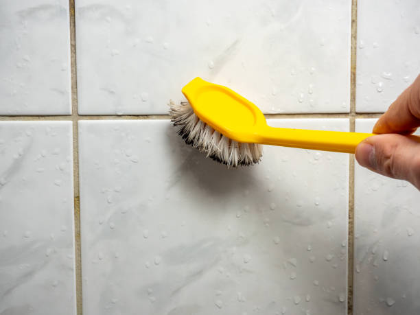 Best Professional Mold Removal  in Rochelle, GA