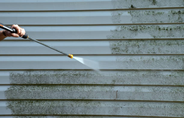 Home Mold Removal in Rochelle, GA